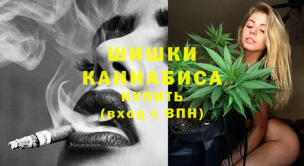 прущий лед Новозыбков