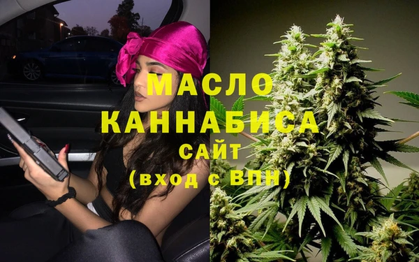 прущий лед Новозыбков